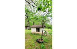 241 Ripley 21N-18, Donipahn, MO 63935