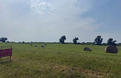 826 Lone Star Rd, Marion, KY 42064