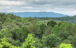 897 Faraday Drive, Ellijay, GA 30540