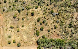 507 Prickly Pear Trail, Gordon, TX 76453