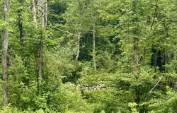 Owego Turnpike (LOT B), Honesdale, PA 18431