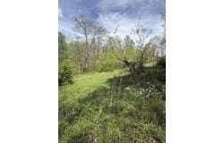 1325 State Hwy 1036, Campton, KY 41301