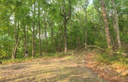 161 Sharp Mountain, Jasper, GA 30143