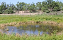 414 County Road 414, Brady, TX 76825