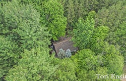 4366 Woods Road, Sidney, MI 48885