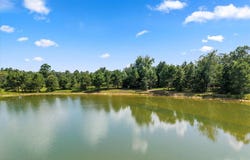 6407 E State Highway 154, Winnsboro, TX 75494