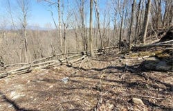 159 W Blueberry Lane, Beech Mountain, NC 28604
