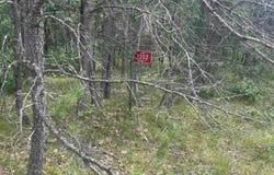 1302 Birdie Trail, Nekoosa, WI 54457