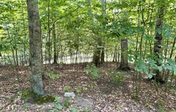 0015 S Mistys Trail, Empire, MI 49630