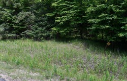 Lot #26 Fordville, Hardwood, MI 49834