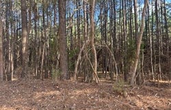 Bodcaw, AR 71858