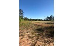 1139 W CR 19, ARITON, AL 36311