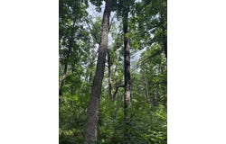 6230 S Evergreen Drive, Newaygo, MI 49337