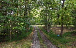 Lot 8 Murphy Lane, Mineral Bluff, GA 30559