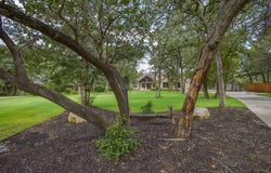 115 Pine Point Cv, Elgin, TX 78621