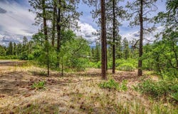 350 harman Avenue, Pagosa Springs, CO 81147