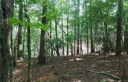 Lot 2 Sweet Apple Lane, Dahlonega, GA 30533