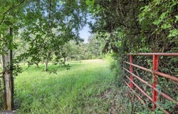 1592 Black Mountain, Toccoa, GA 30577