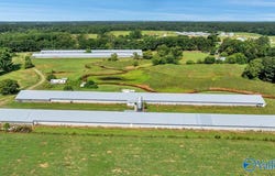 823 Coal Mine Road, Boaz, AL 35957