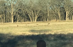 465 Oak Grove RD, Luling, TX 78648