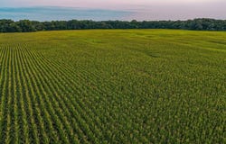 Big Bear Road, Stratford, IA 50249