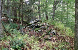 150 Lawrence Road, Windsor, NY 13865