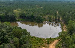 0 Cattle Gap Road, Cuthbert, GA 39840