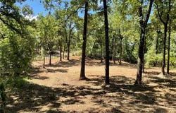 65 Alta Vista, Malakoff, TX 75148