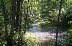 35XX NORTHPORT FLAT CREEK RD, COLVILLE, WA 99114
