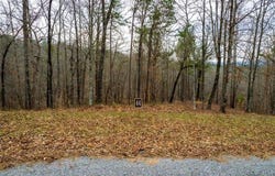 Lot 44 Bucktail Way, Talking Rock, GA 30175