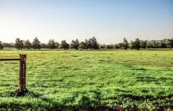 Tract 6 Fieldcrest Ln, Burton, TX 77835