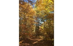 Lot 16 Diamond Point Drive, Butler, TN 37640