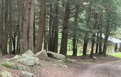 Bordell Rd., Smethport, PA 16749