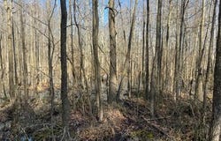 7040 MATTHEWS ROAD, BRYANS ROAD, MD 20616