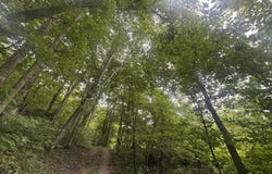 500 Hail Bridge Road, Somerset, KY 42501