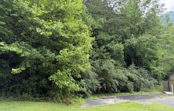 999 mcdonalds Lane, Heidrick, KY 40949