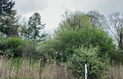 1096 Rush-Hen Town Line Road, Rush, NY 14543