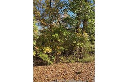 Tonto Drive, Cherokee Village, AR 72529