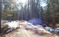 Par 7 Wildwood Lane, Grayling, MI 49738