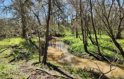 40499 Garrett Rd, Pattison, TX 77423