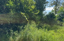 0 Mountain Springs Road, Alum Bank, PA 15521