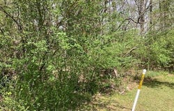 8 Lots Maplewood Ln Ext, Alexander City, AL 35010