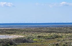 Tract 25 lot: 41, South Padre Island, TX 78597