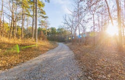 TN-100, Medon, TN 38356