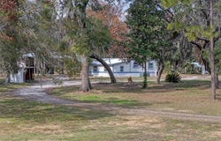 20941 SUNRIDGE ROAD, GROVELAND, FL 34736