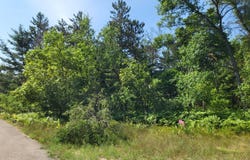 Norseman Drive lot: 8 & 30, Grayling, MI 49738