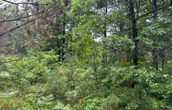 Lot 5 DADS LAKE RD, Eagle River, WI 54521