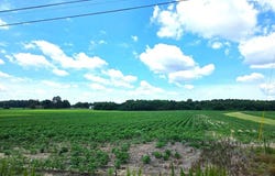 Highway 125, Roanoke Rapids, NC 27870