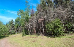 Lot C HOMERS RD, Mercer, WI 54547