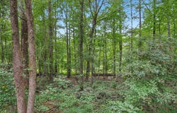 Bill Rutledge Road, Winder, GA 30680